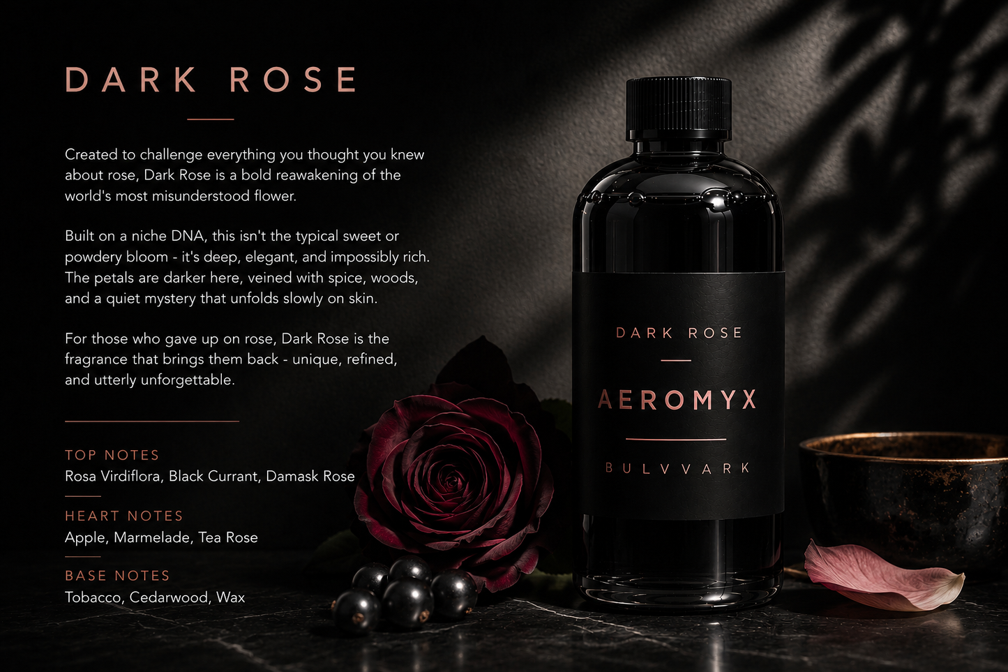 DARK ROSE