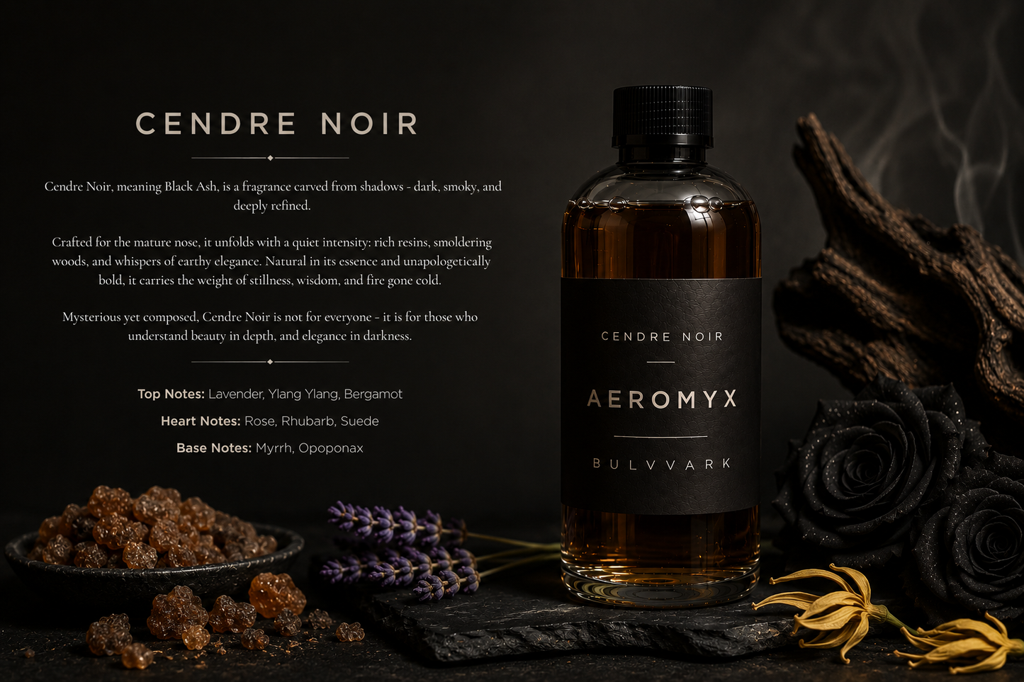 CENDRE NOIR